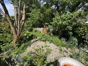 GARDEN TREE- click for photo gallery